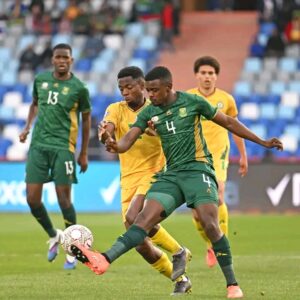 DURBAN AND CAPE TOWN TO HOST BAFANA, PANAMA MATCHES 