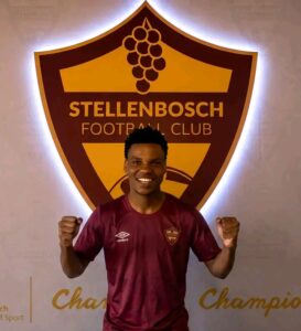 UKWAYIBA UTYIKITYE NESTELLIES